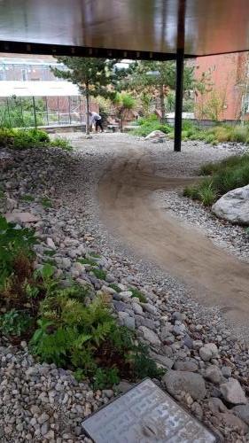 landscaping groundworks paving garden design architecture maggies centre award winning 